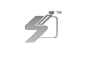 Salvin Industrial Engineers