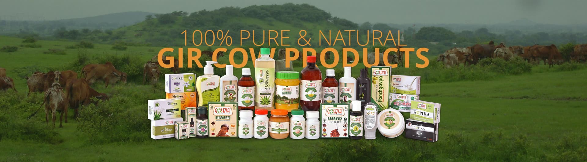 Gir Cow Products